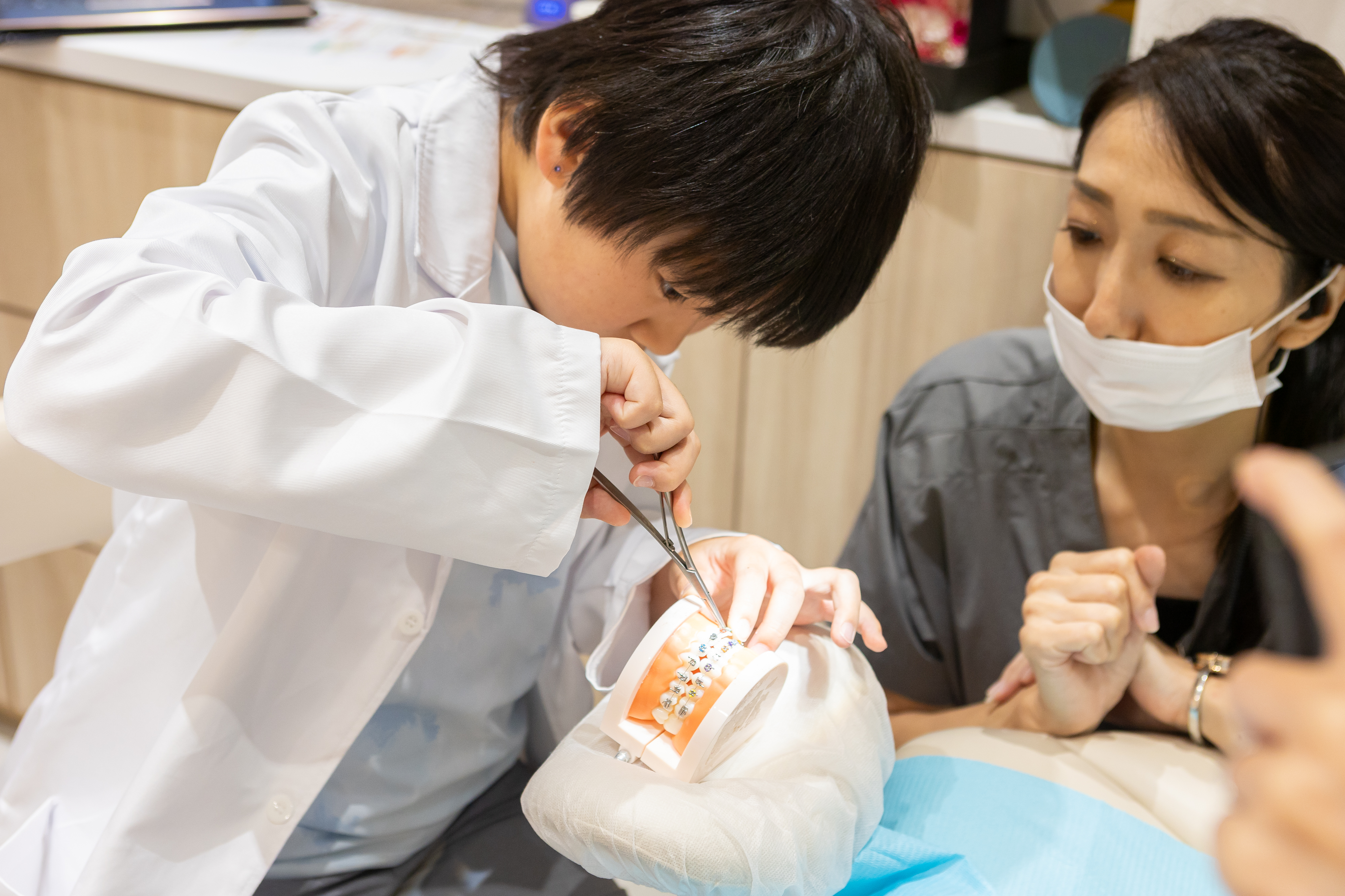 歯列模型に矯正用の小さなゴムを取り付ける子ども
